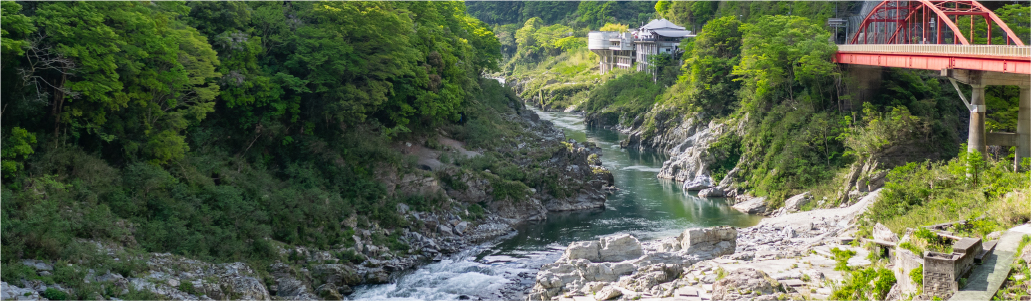 吉野川の水