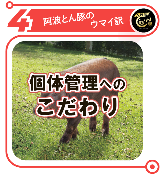 阿波とん豚個体管理へのこだわり